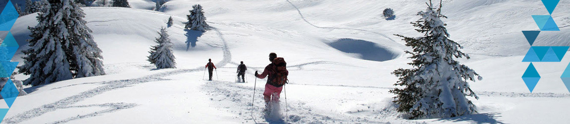 G11_16129.jpg