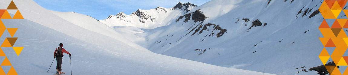 G11_08520.jpg